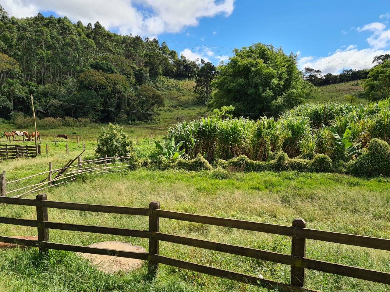 Sítio, 3 quartos, 51 hectares - Foto 12