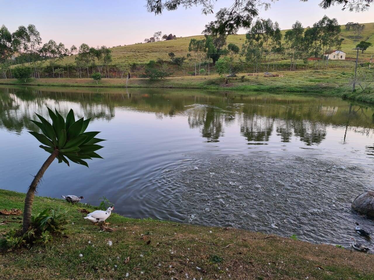 Sítio, 4 quartos, 605 hectares - Foto 1