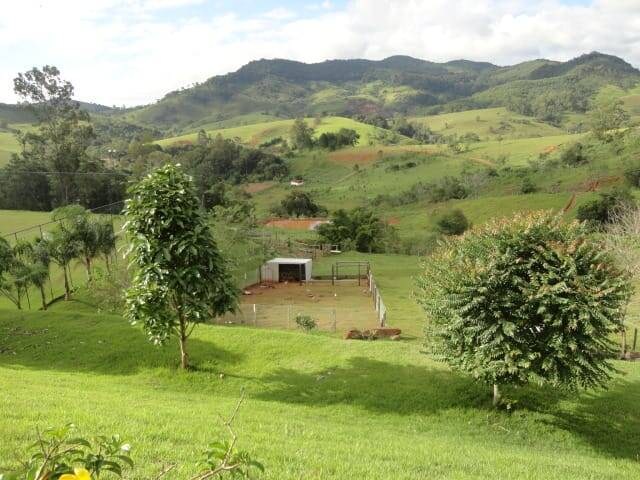Sítio, 5 quartos, 4 hectares - Foto 24