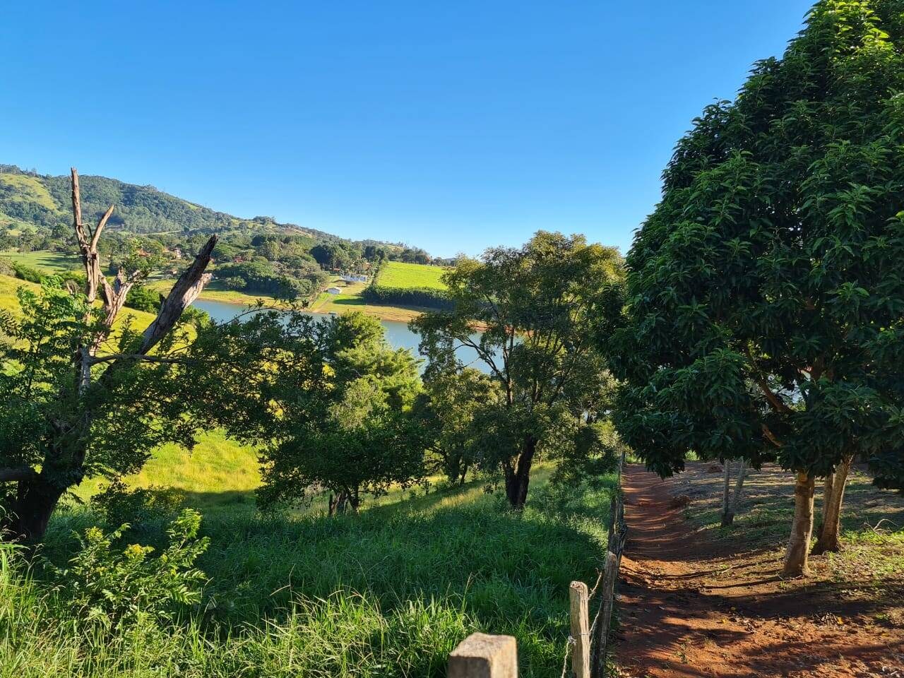 Terreno, 2 hectares - Foto 17