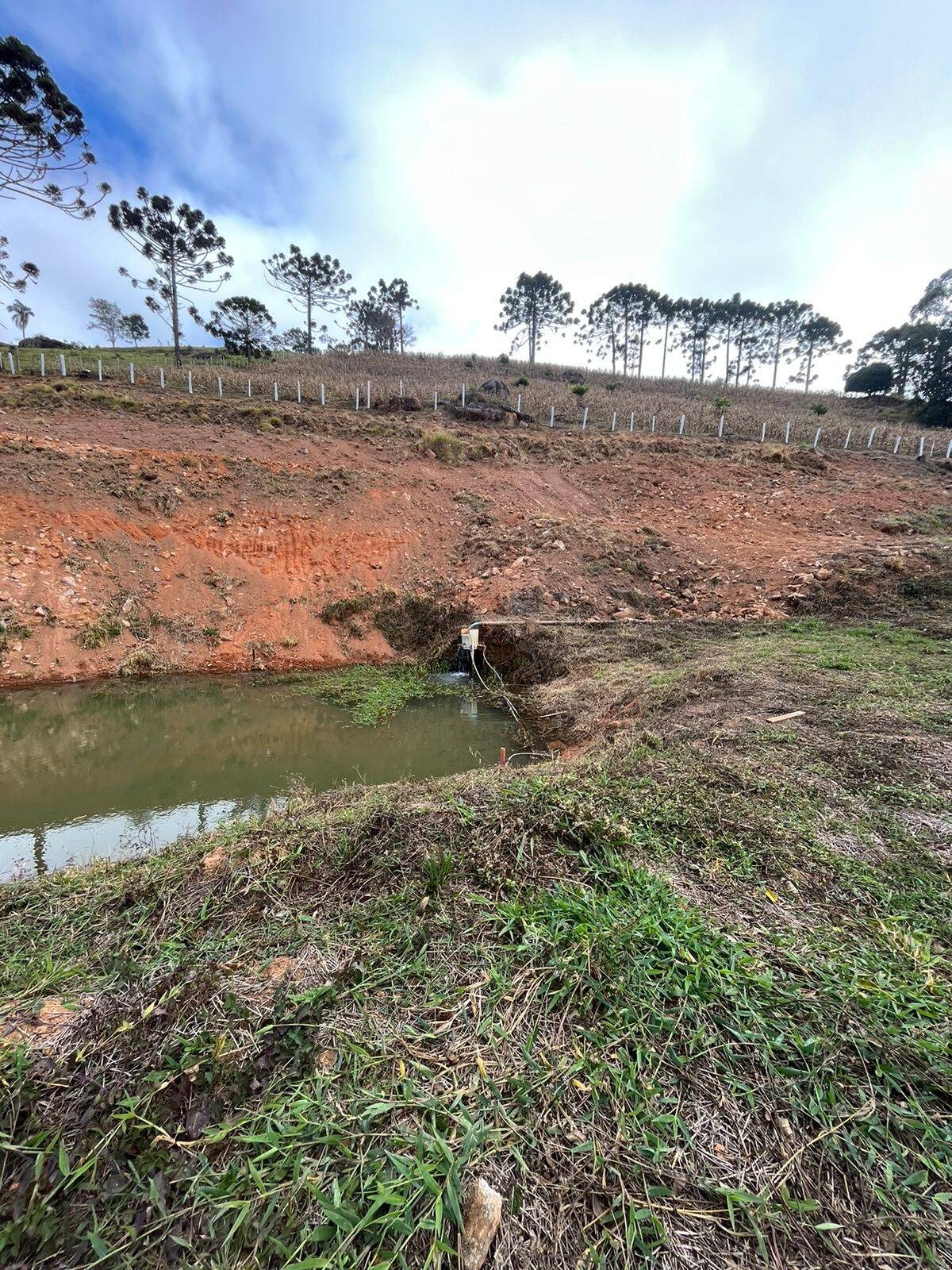Terreno, 8000 m² - Foto 8