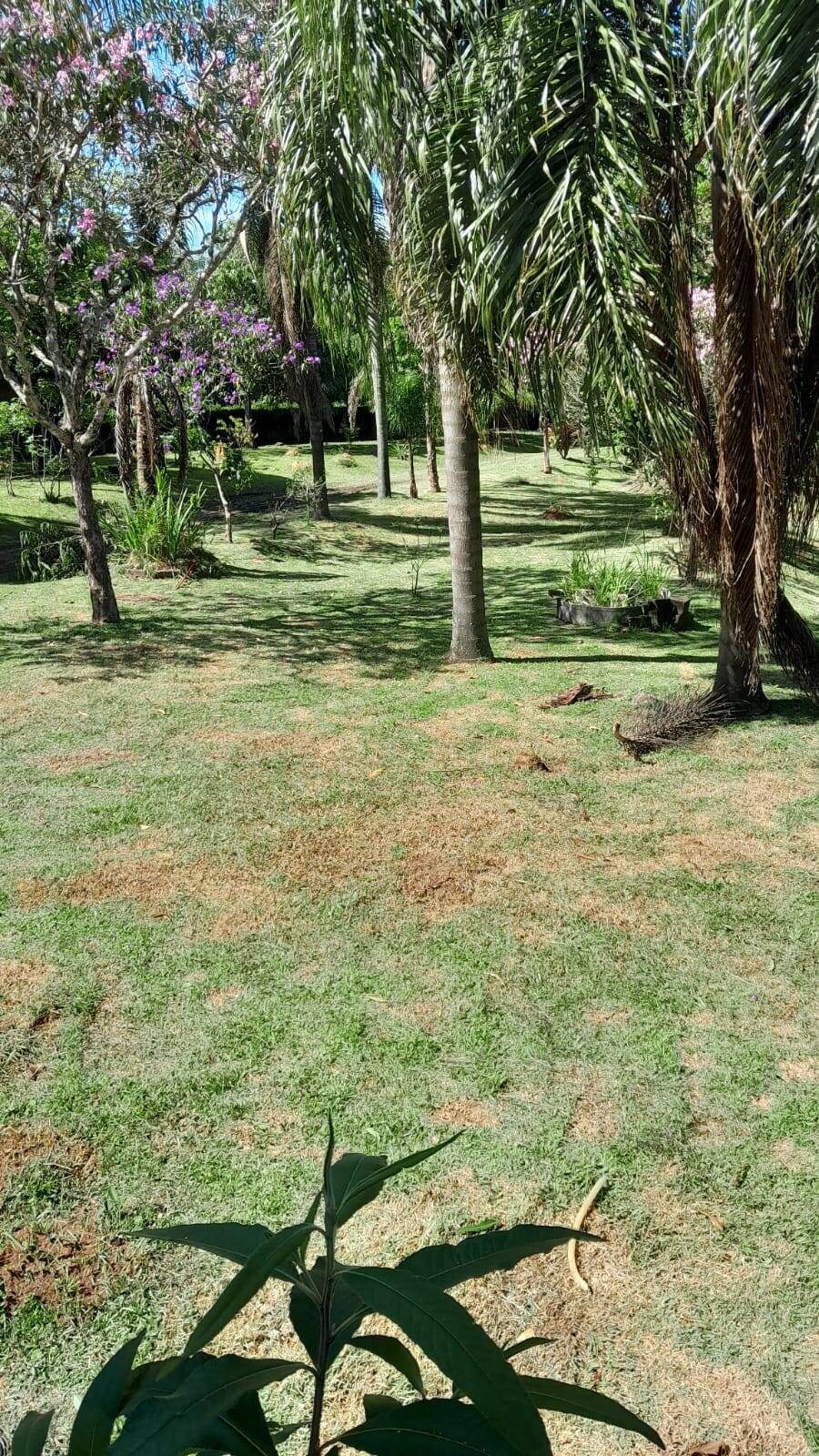 Chácara, 5 quartos, 3662 m² - Foto 18