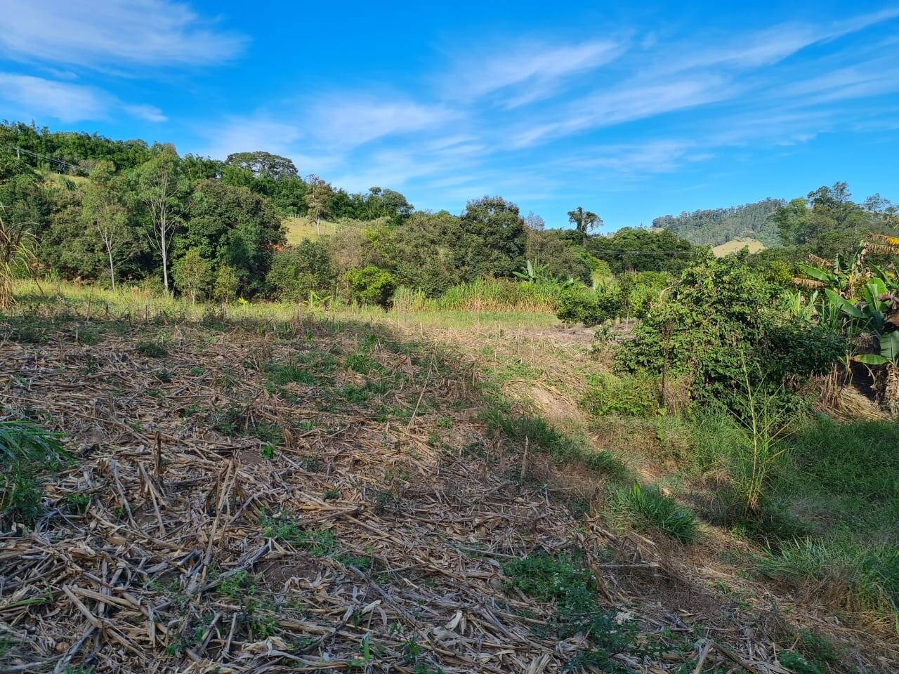 Sítio, 2 quartos, 6 hectares - Foto 2