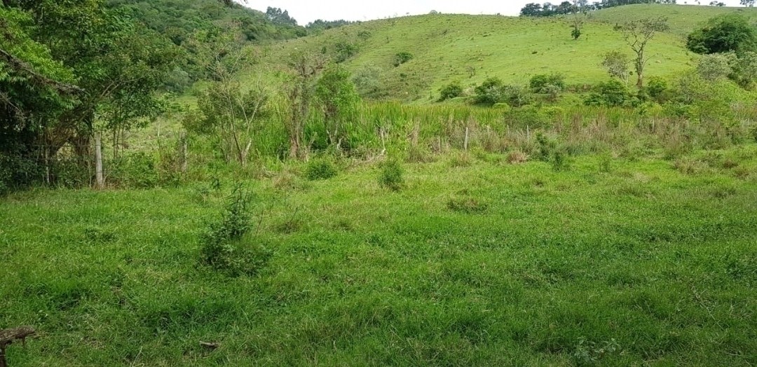 Sítio, 5 quartos, 27 hectares - Foto 10