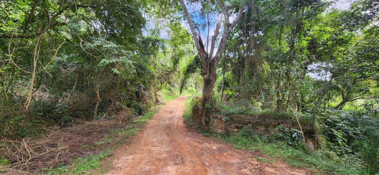 Sítio, 2 quartos, 12 hectares - Foto 12