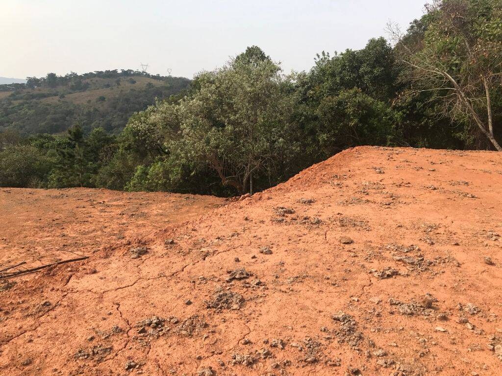 Terreno, 8000 m² - Foto 4