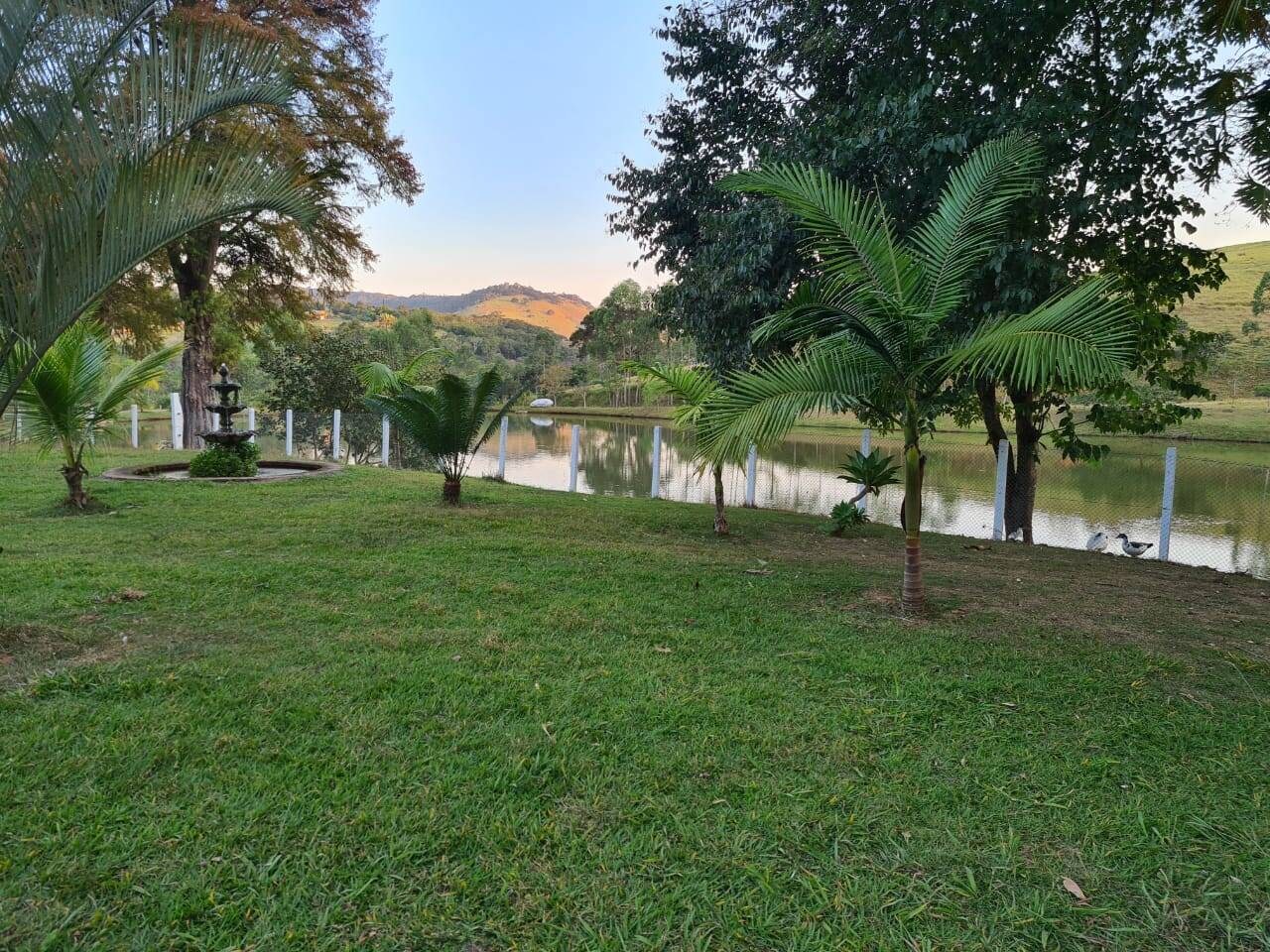 Sítio, 4 quartos, 605 hectares - Foto 11