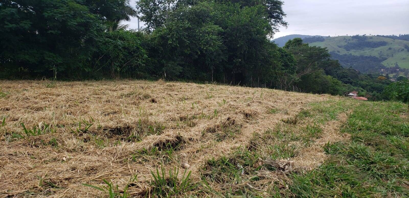 Terreno, 2000 m² - Foto 2