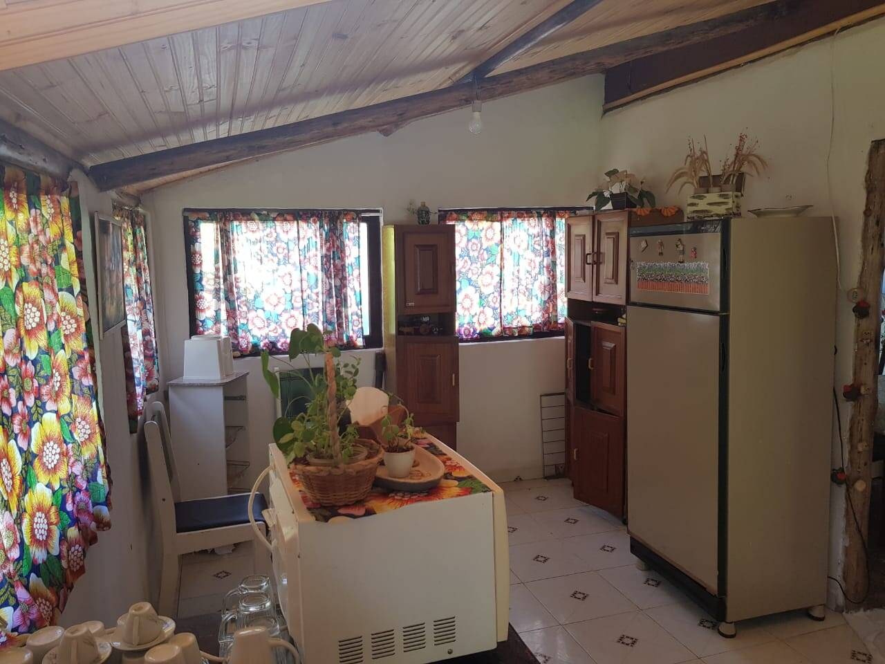 Chácara, 2 quartos, 1600 m² - Foto 4