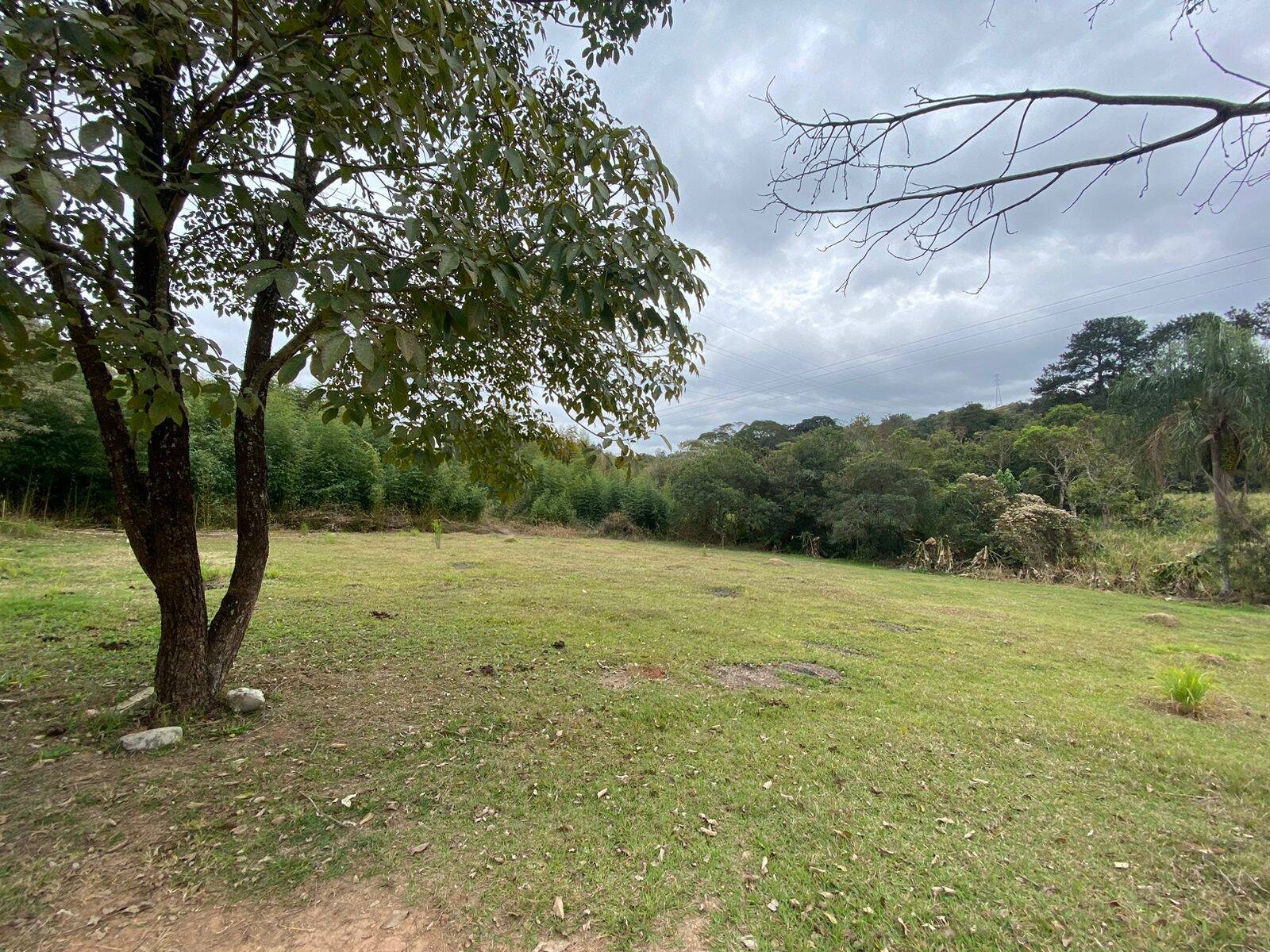 Chácara, 2 hectares - Foto 32