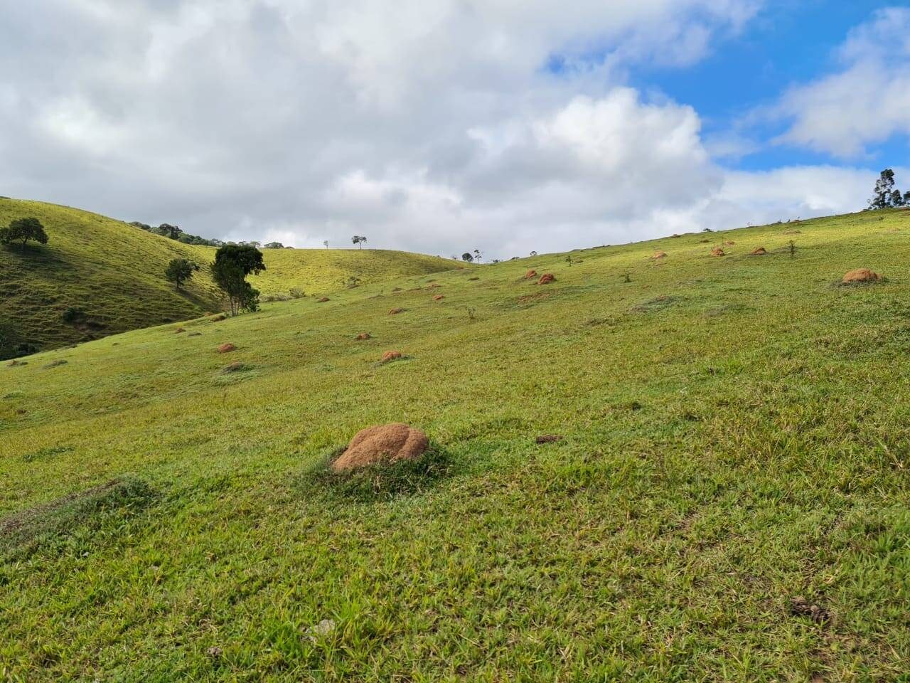 Sítio, 3 quartos, 51 hectares - Foto 7