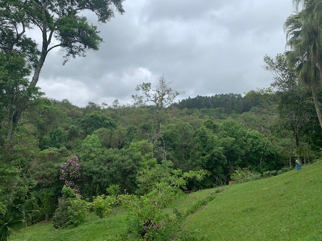 Chácara, 3 quartos, 7400 m² - Foto 10