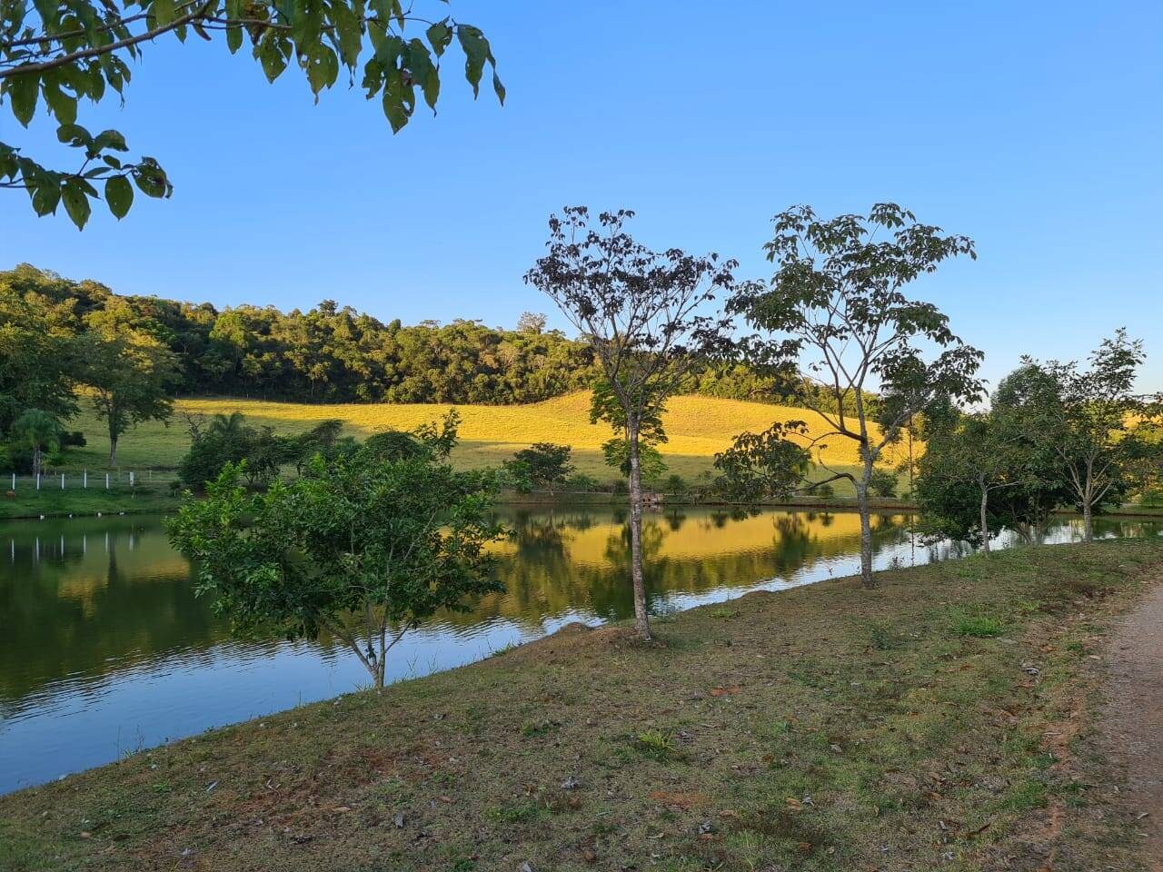 Sítio, 4 quartos, 605 hectares - Foto 35