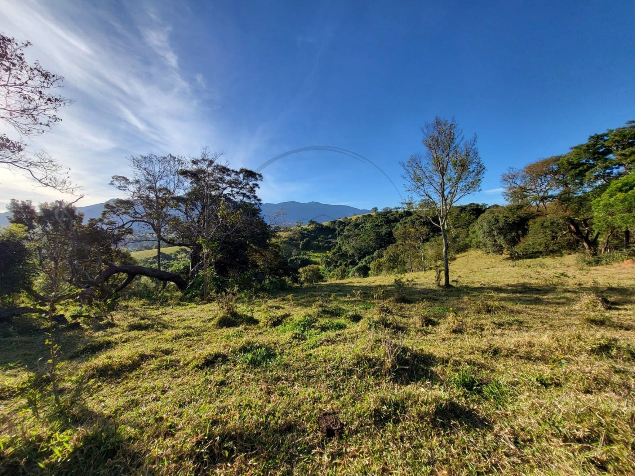 Terreno, 6 hectares - Foto 2