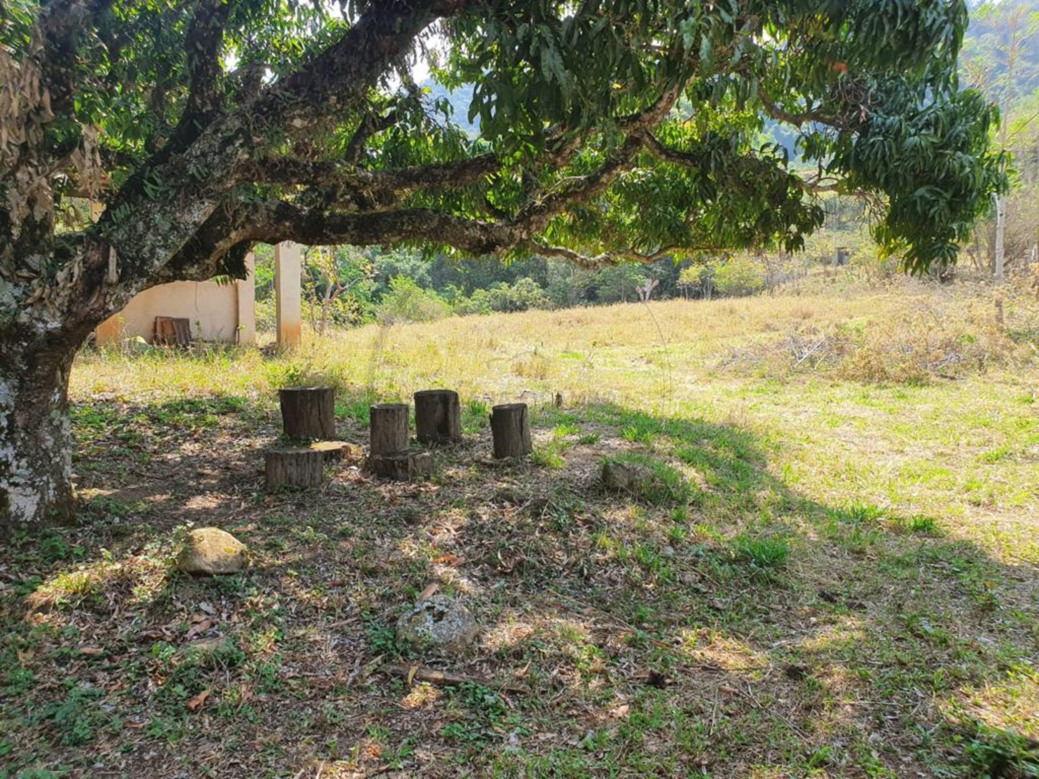 Sítio, 2 quartos - Foto 5
