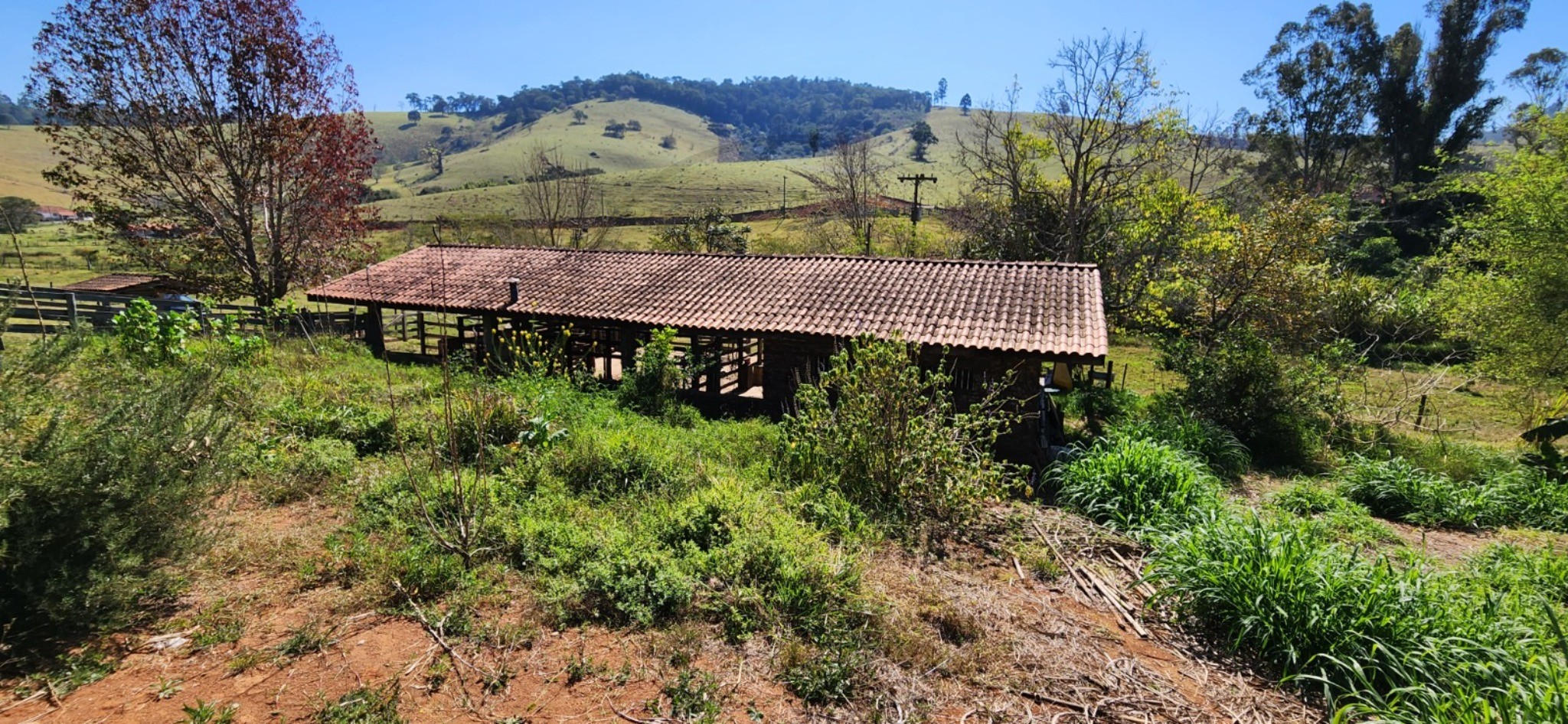 Sítio, 3 quartos - Foto 11