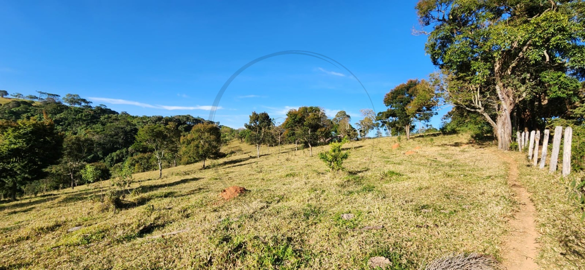 Terreno, 6 hectares - Foto 9