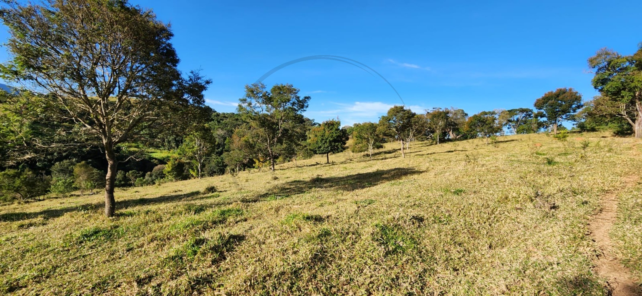 Terreno, 6 hectares - Foto 6