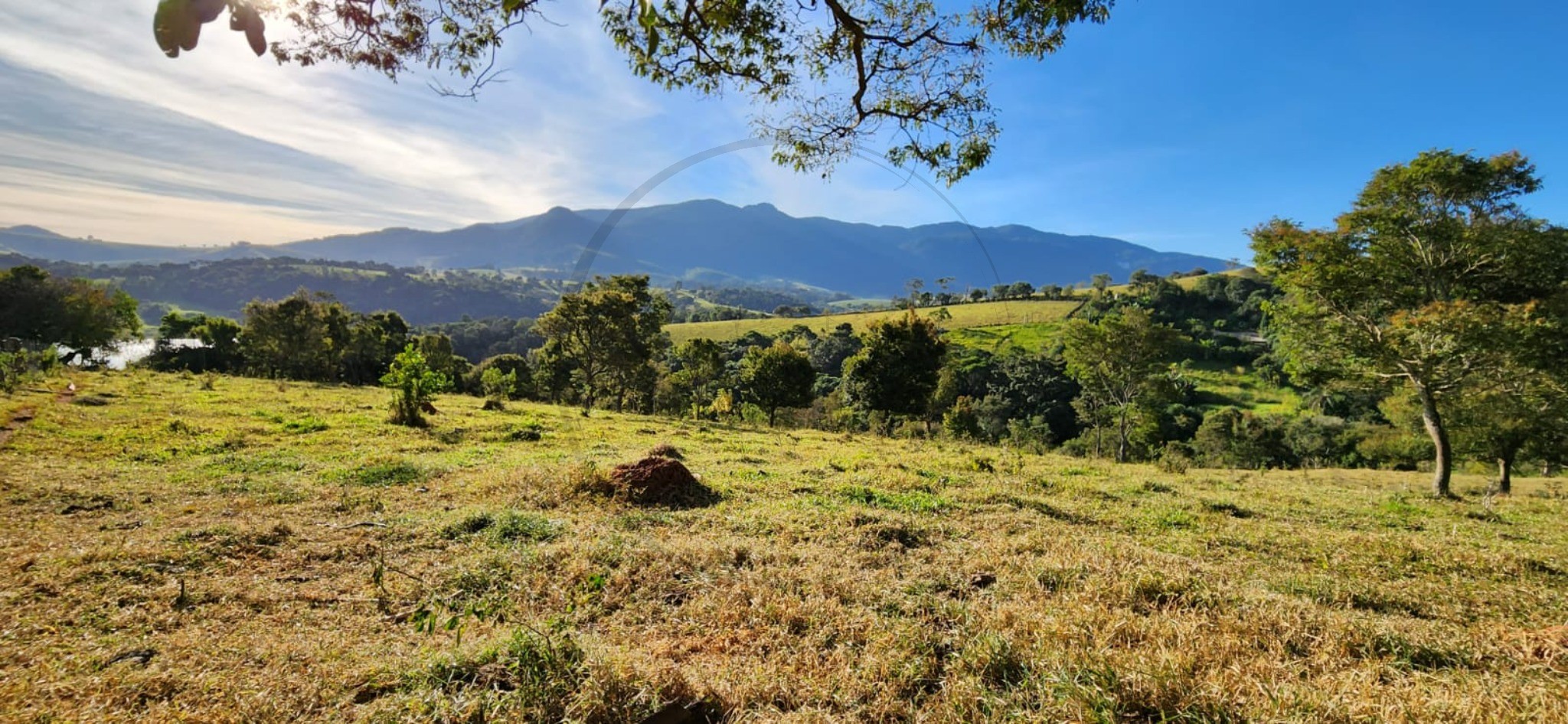 Terreno, 6 hectares - Foto 10