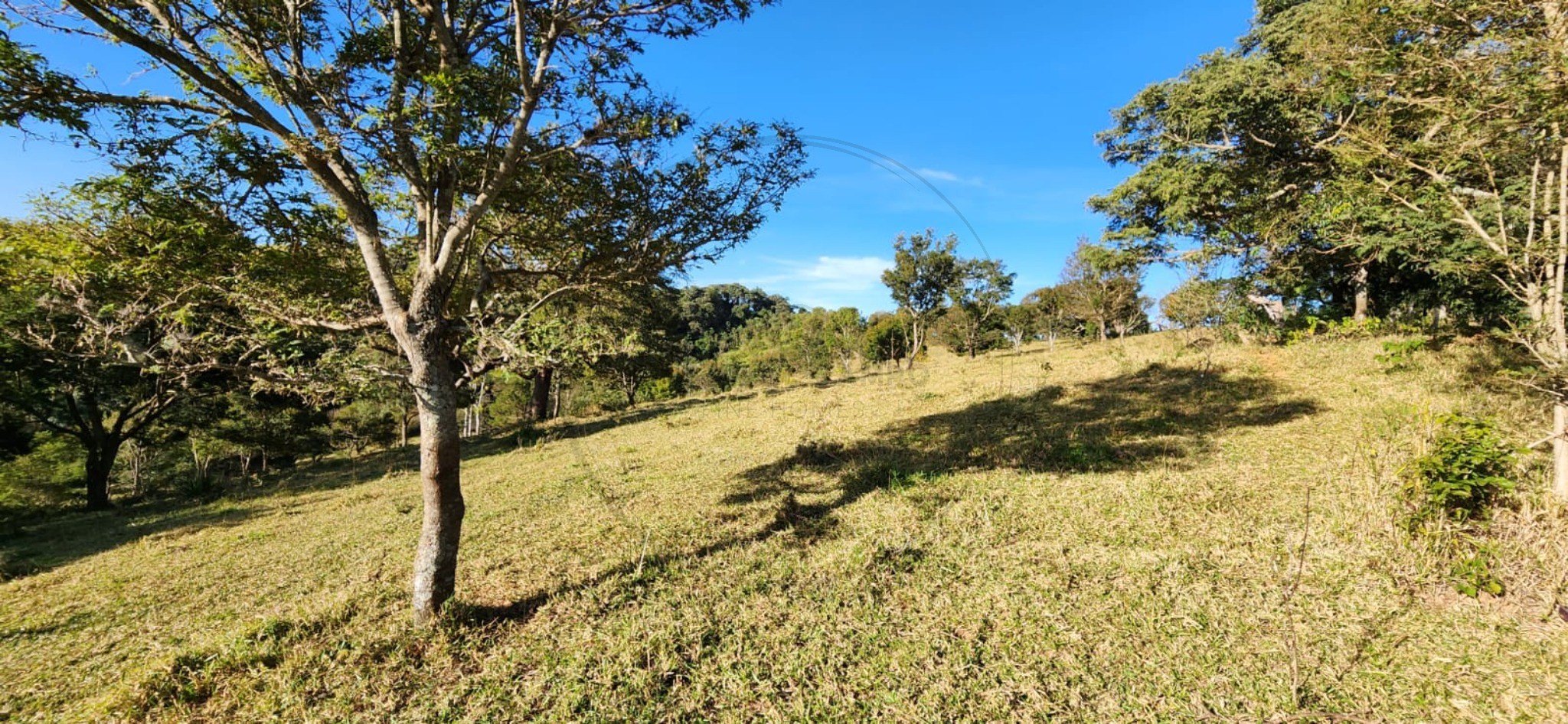 Terreno, 6 hectares - Foto 7