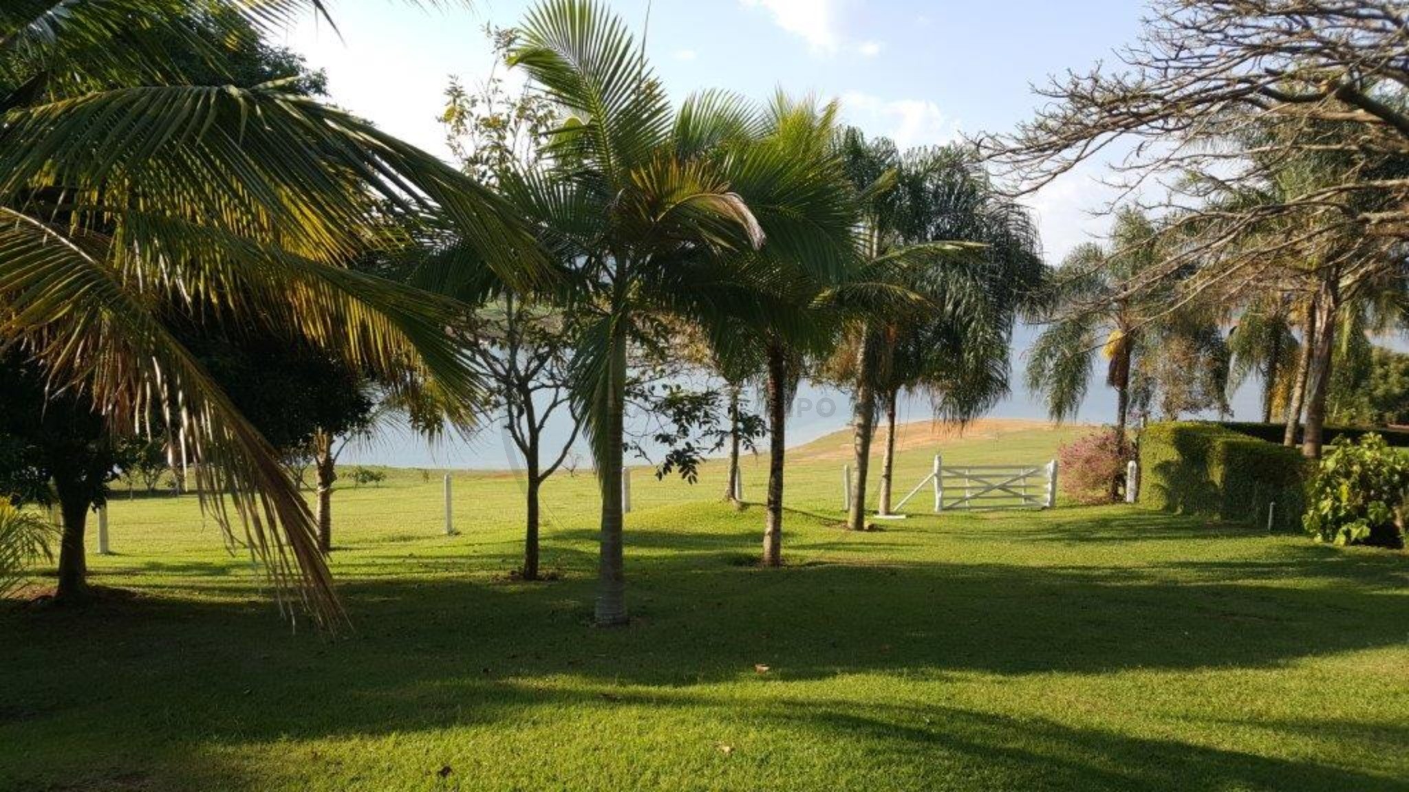 Chácara, 4 quartos, 3 hectares - Foto 36