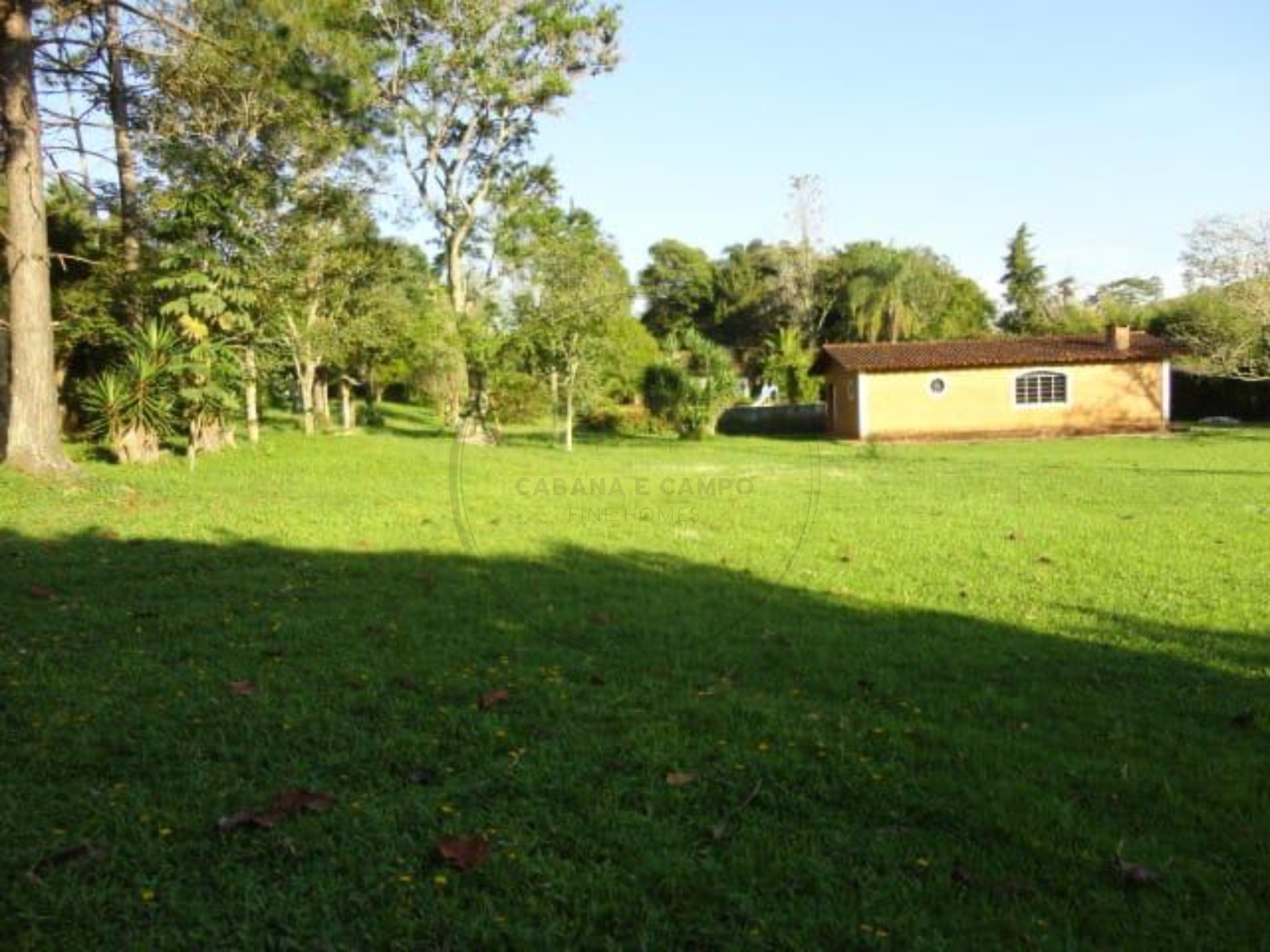 Sítio, 3 quartos, 4 hectares - Foto 40