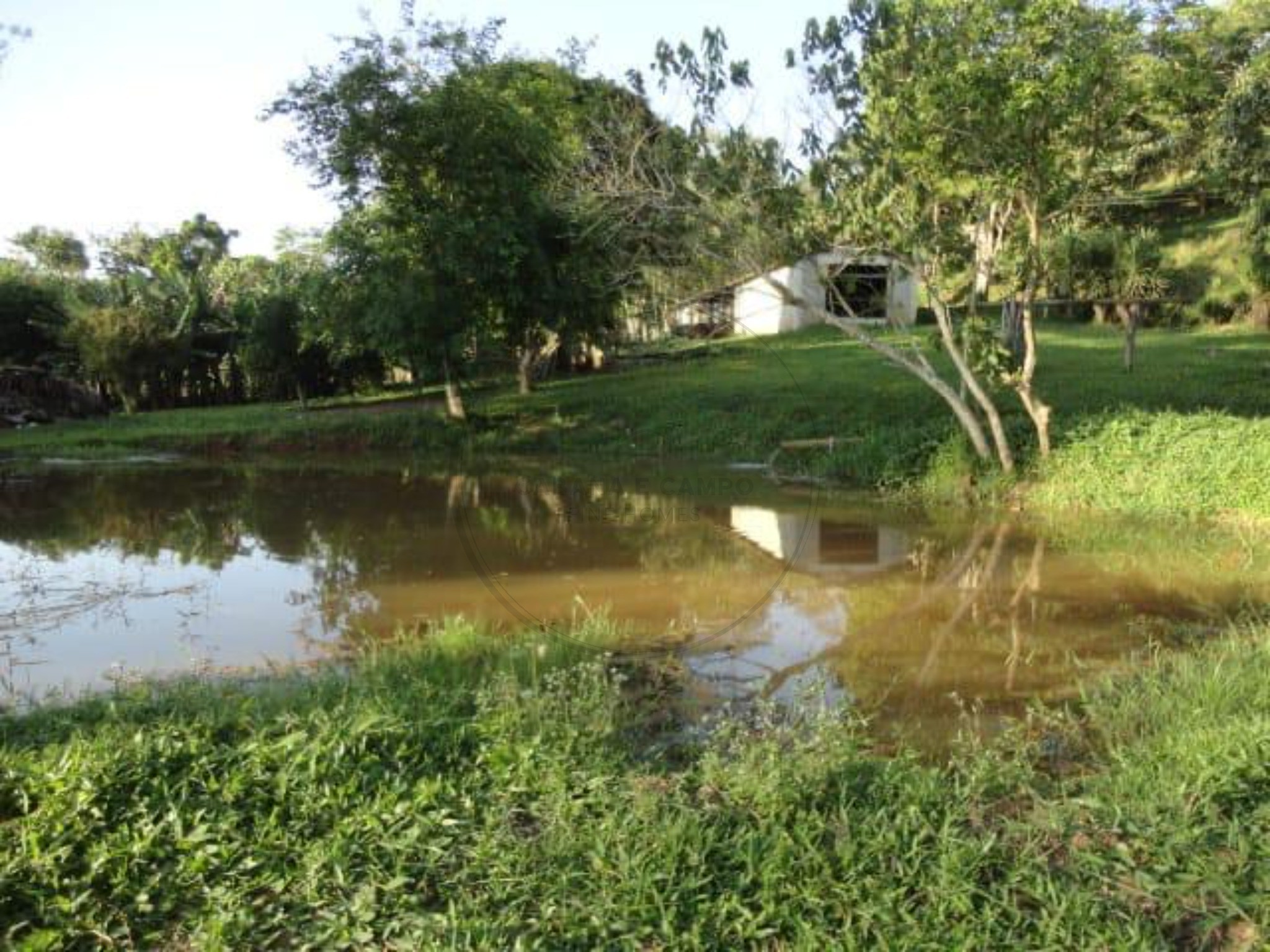 Sítio, 3 quartos, 4 hectares - Foto 38
