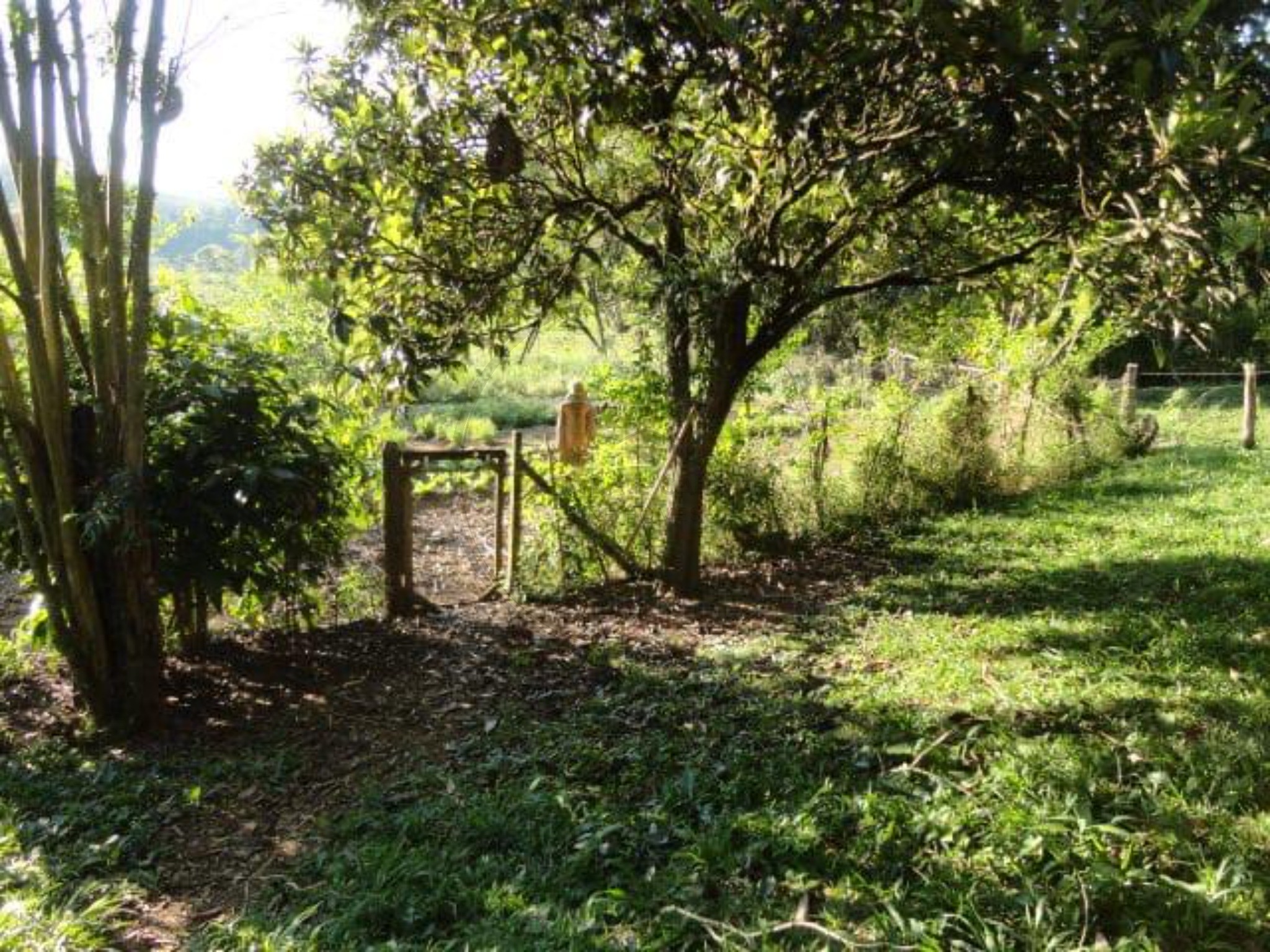 Sítio, 3 quartos, 4 hectares - Foto 43