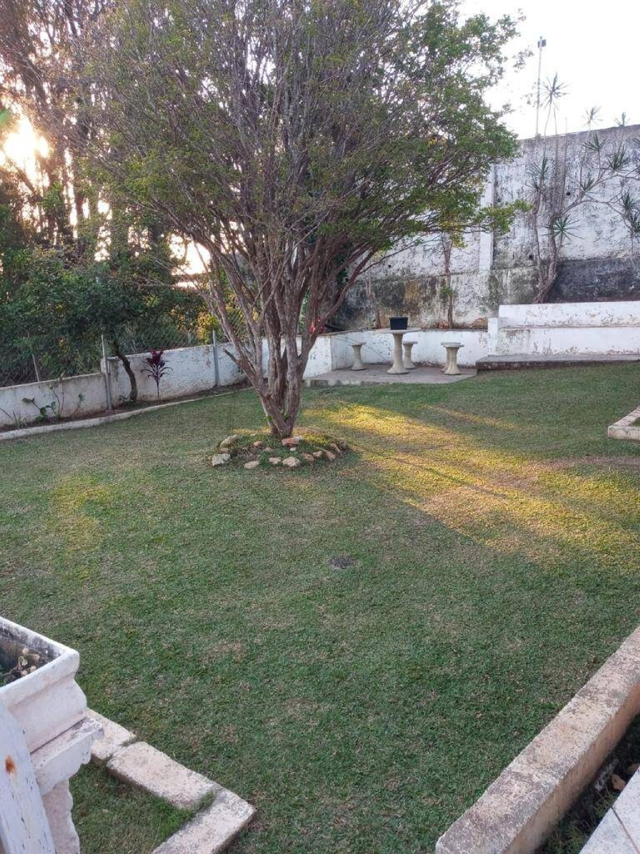 Chácara, 3 quartos, 800 m² - Foto 5