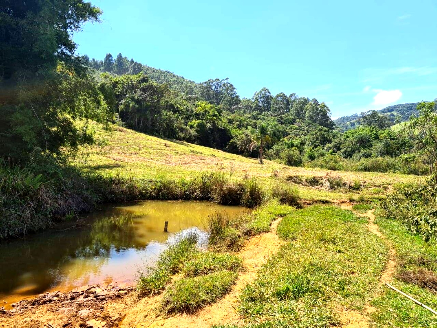 Sítio, 1 quarto, 19 hectares - Foto 1