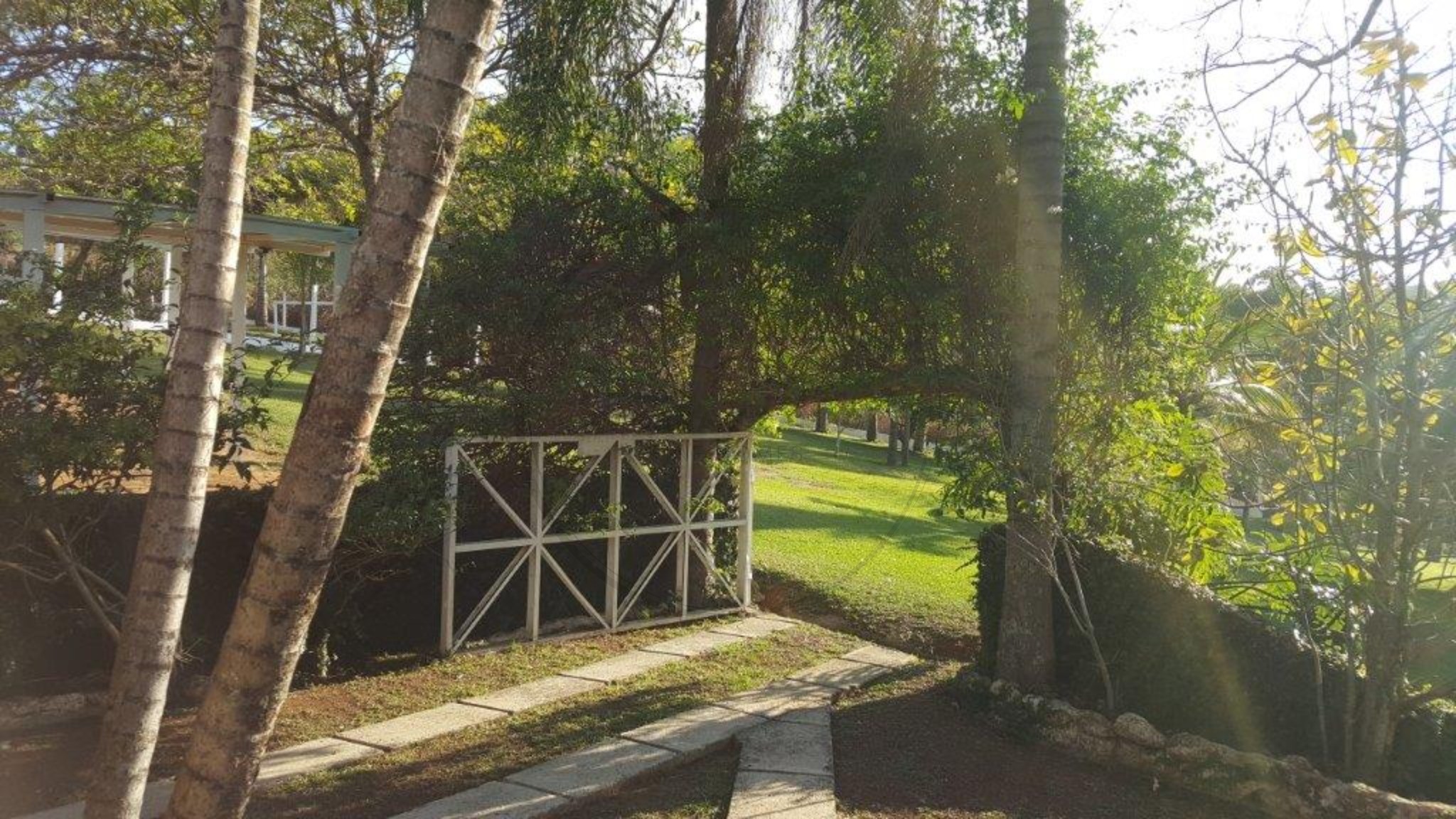 Chácara, 4 quartos, 3 hectares - Foto 27