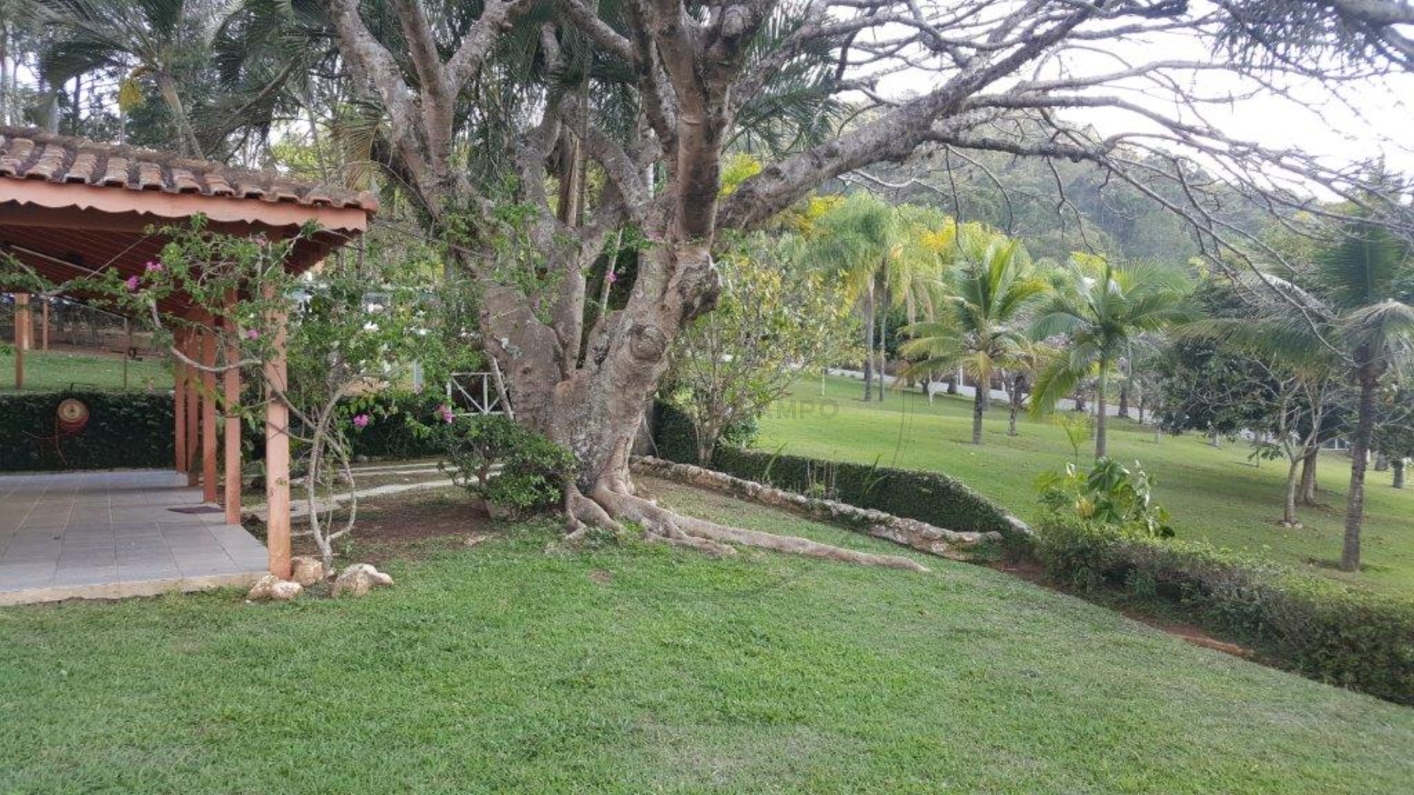 Chácara, 4 quartos, 3 hectares - Foto 30