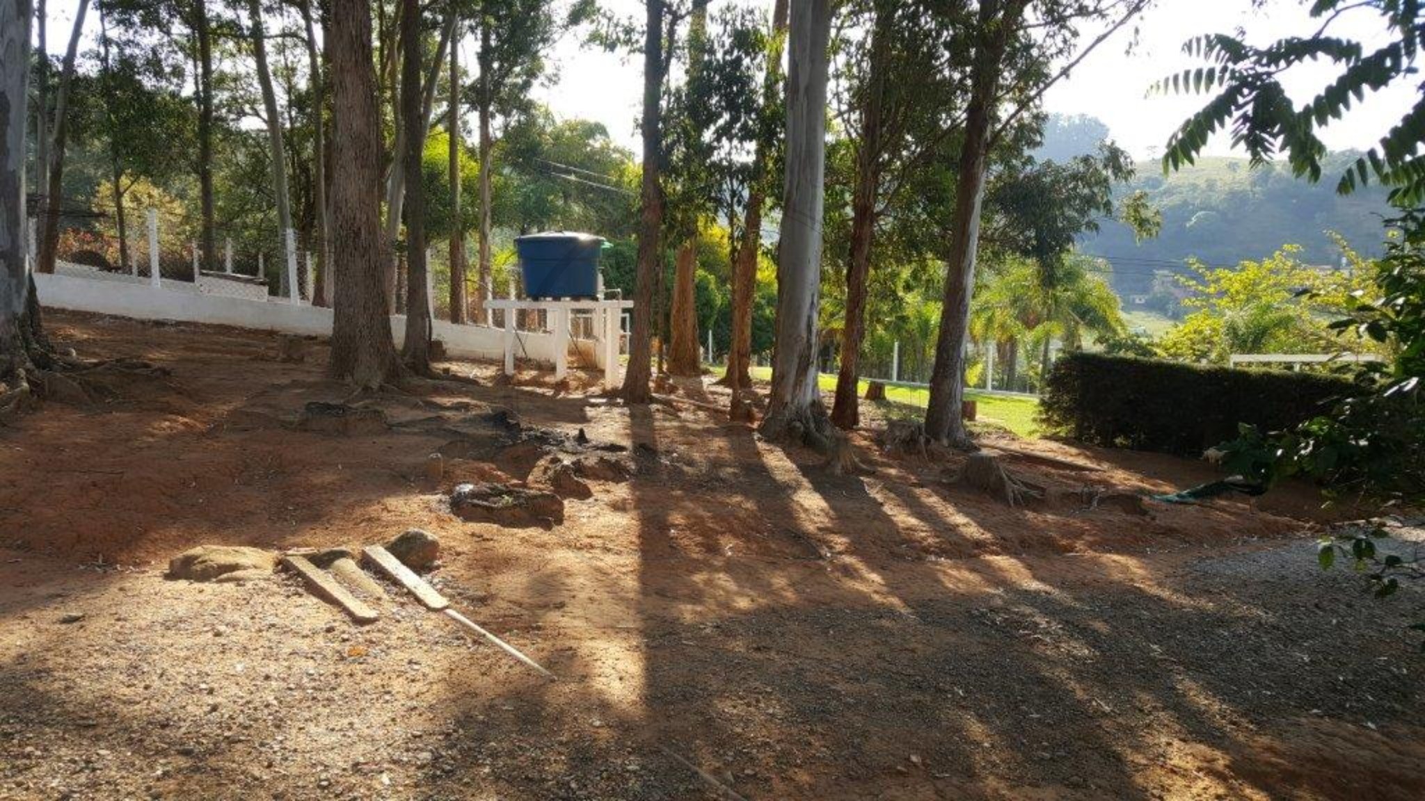 Chácara, 4 quartos, 3 hectares - Foto 18