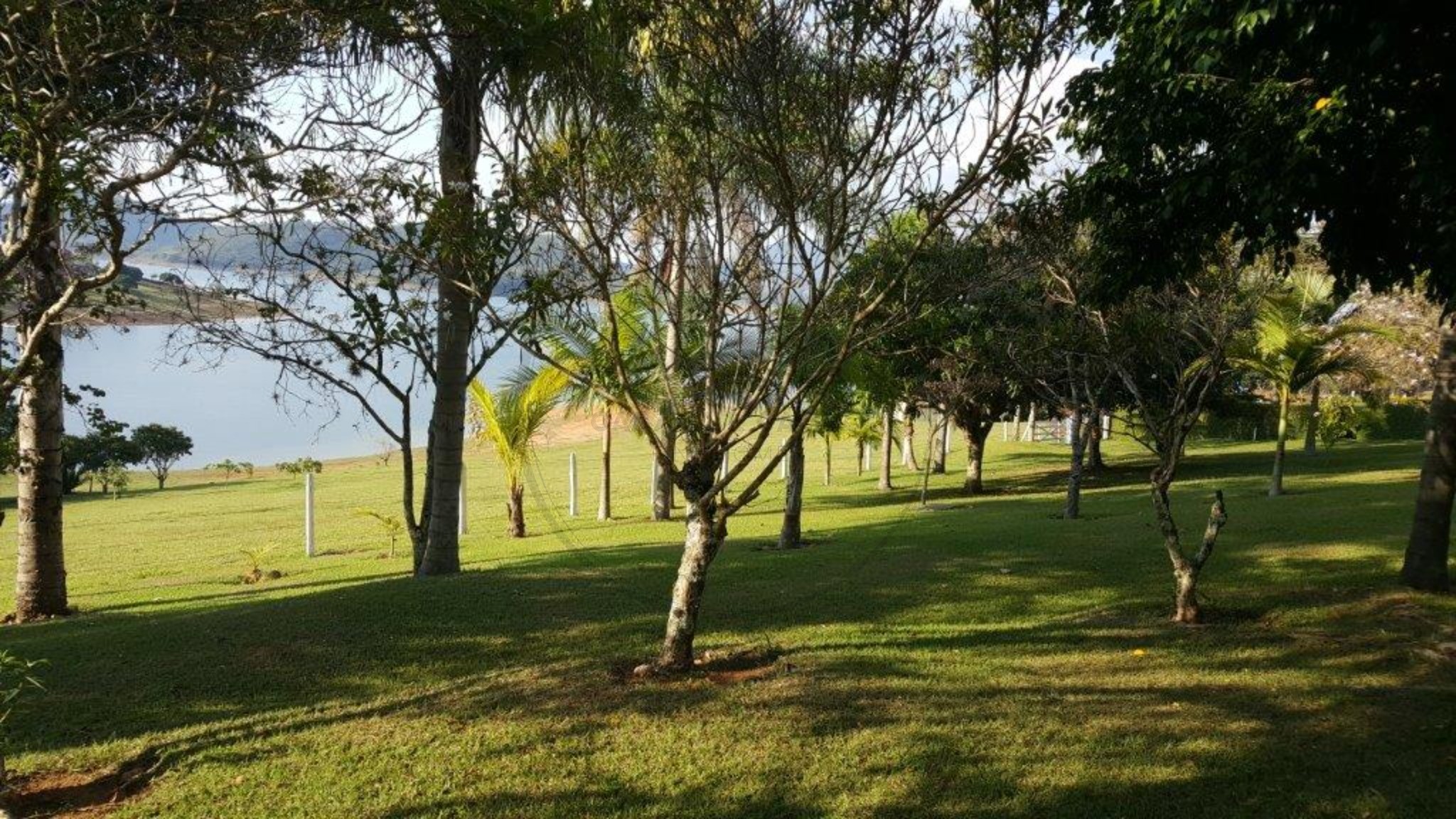 Chácara, 4 quartos, 3 hectares - Foto 3