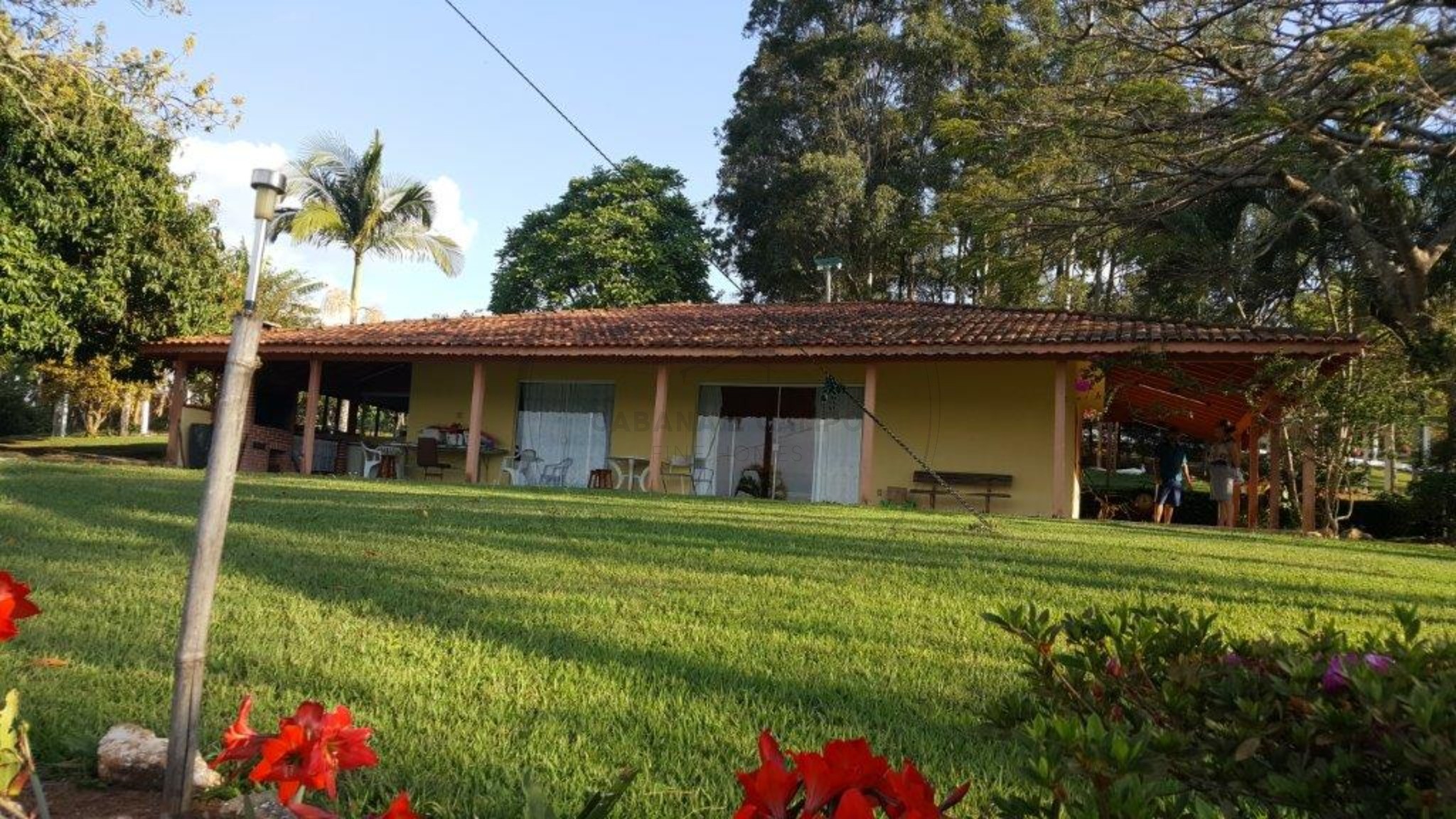 Chácara, 4 quartos, 3 hectares - Foto 7