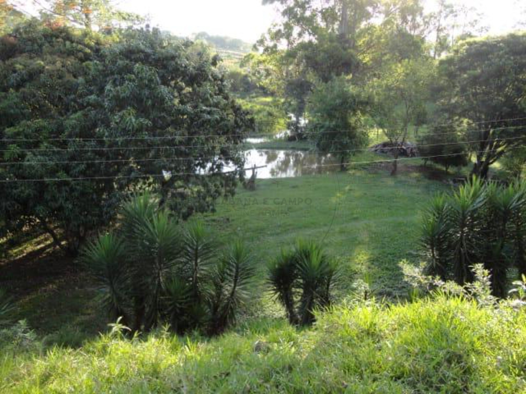 Sítio, 3 quartos, 4 hectares - Foto 41