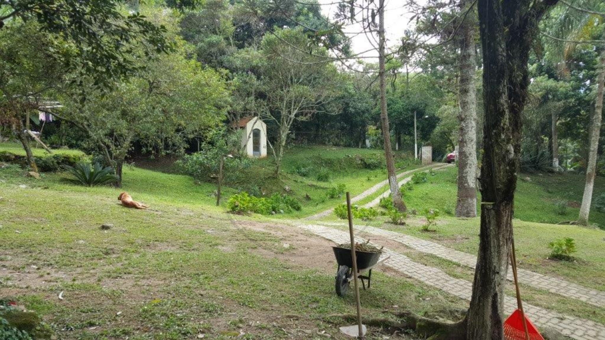 Sítio, 3 quartos - Foto 22