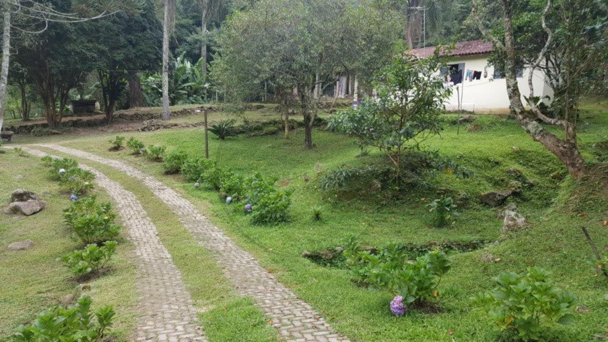 Sítio, 3 quartos - Foto 31