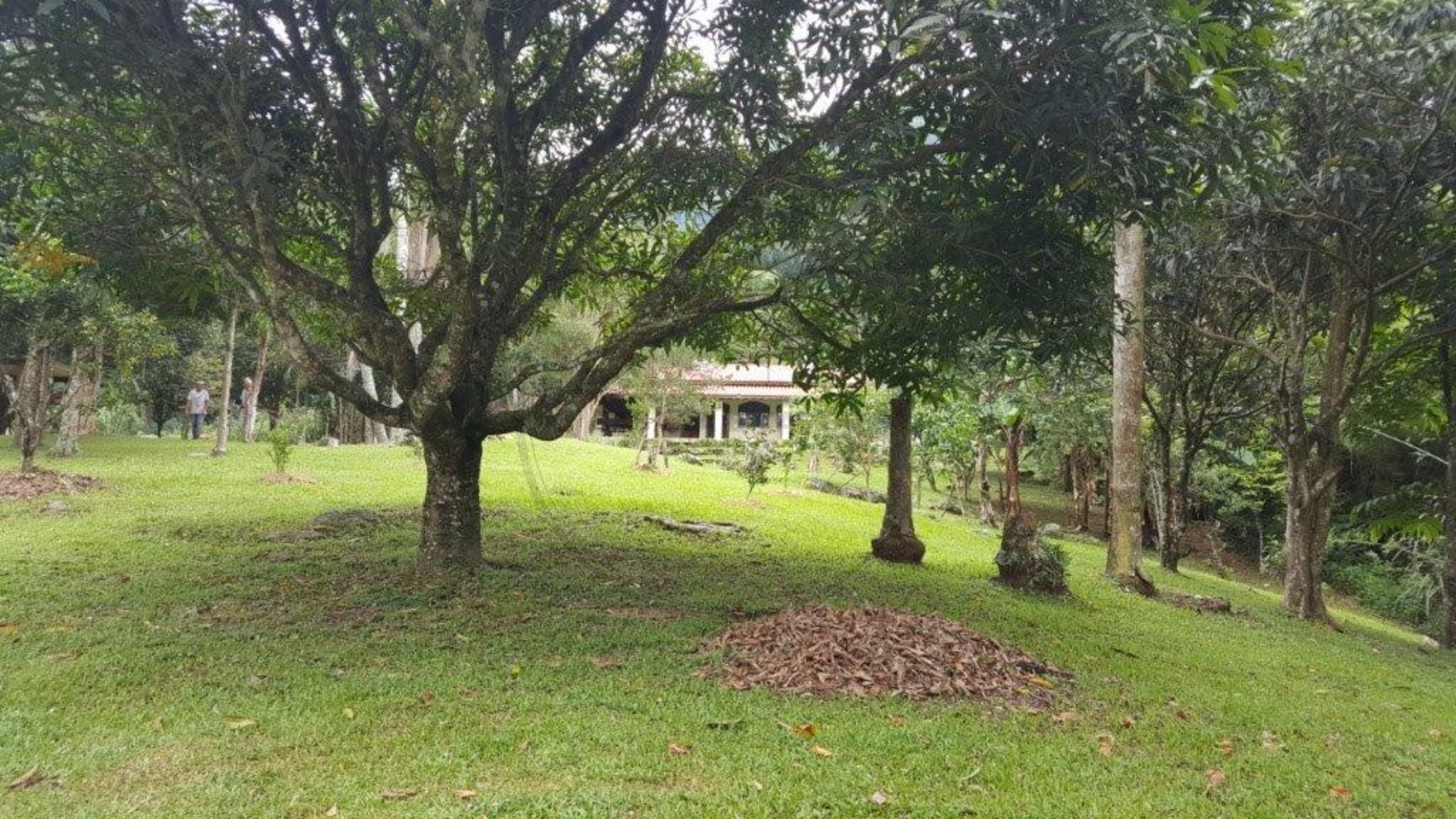 Sítio, 3 quartos - Foto 41