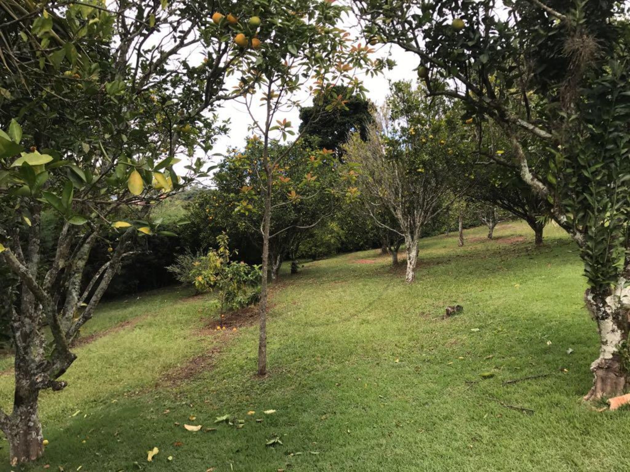 Terreno - Foto 2