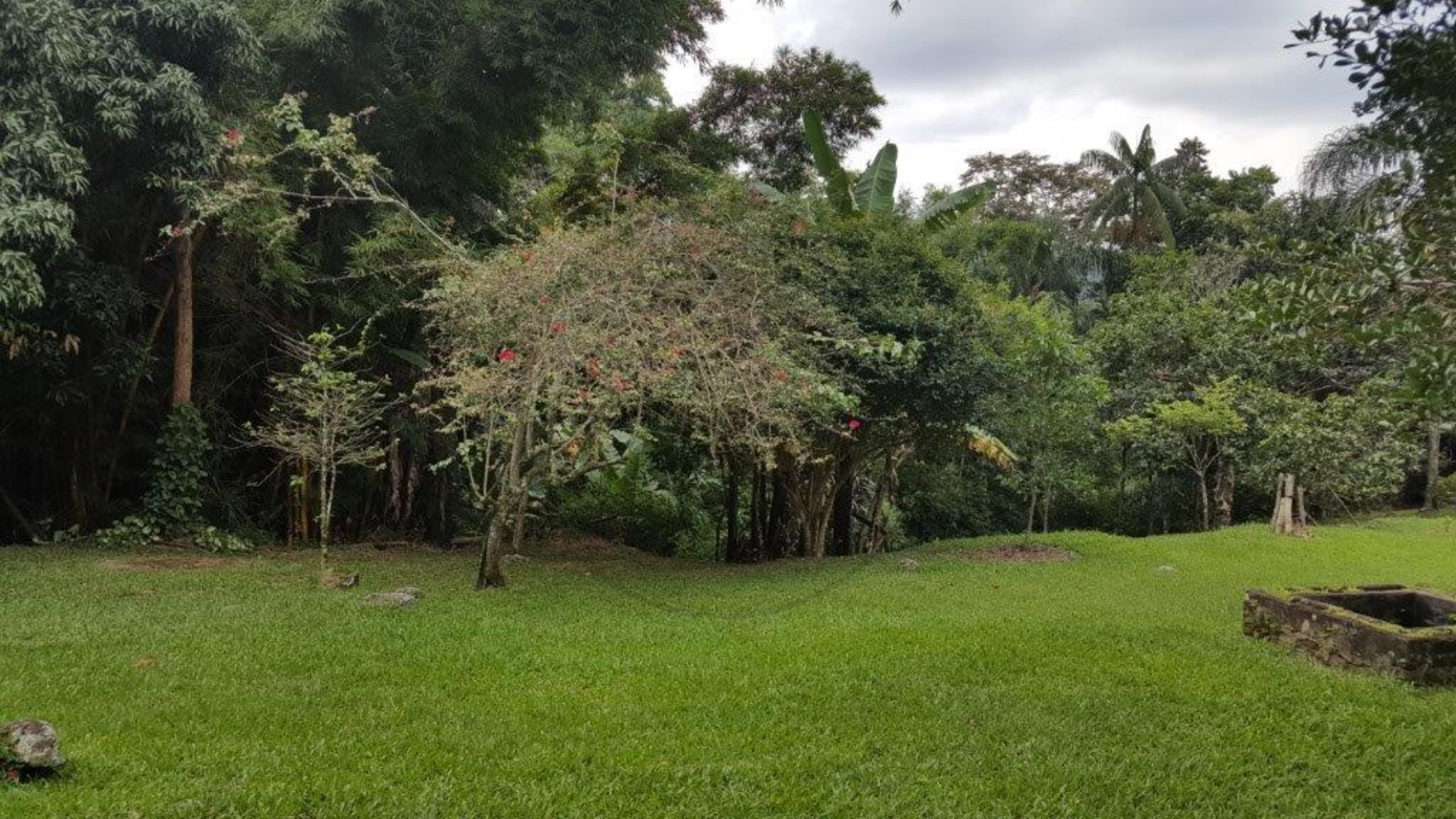 Sítio, 3 quartos - Foto 6