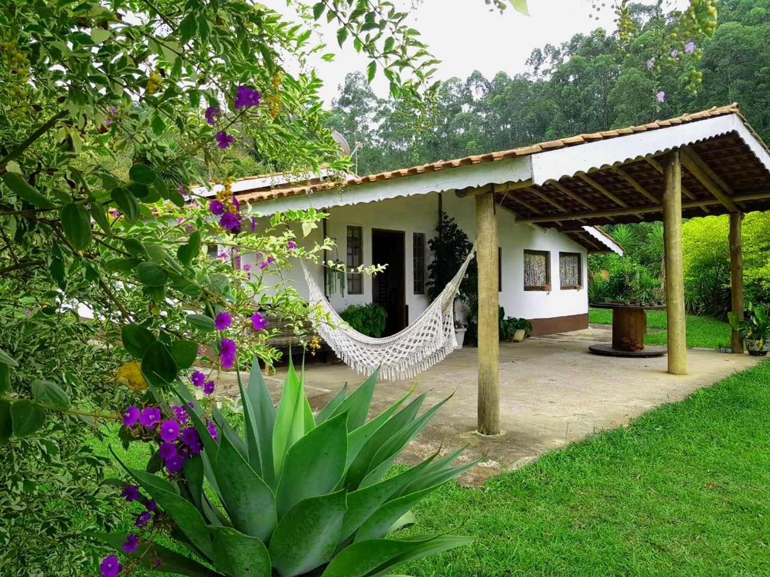Chácara, 2 quartos, 1600 m² - Foto 1