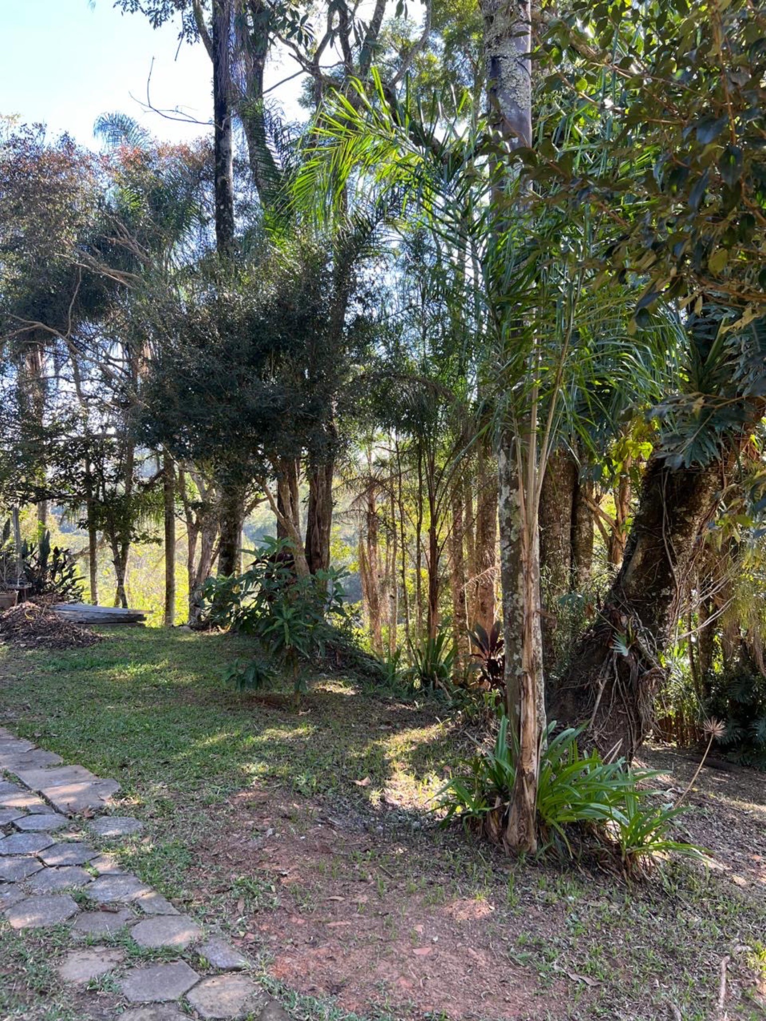 Chácara, 3 quartos - Foto 18