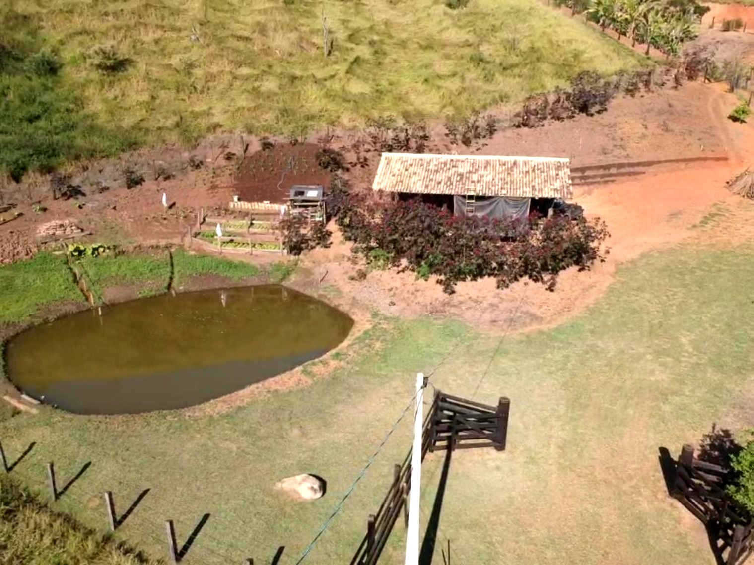 Sítio, 4 hectares - Foto 1