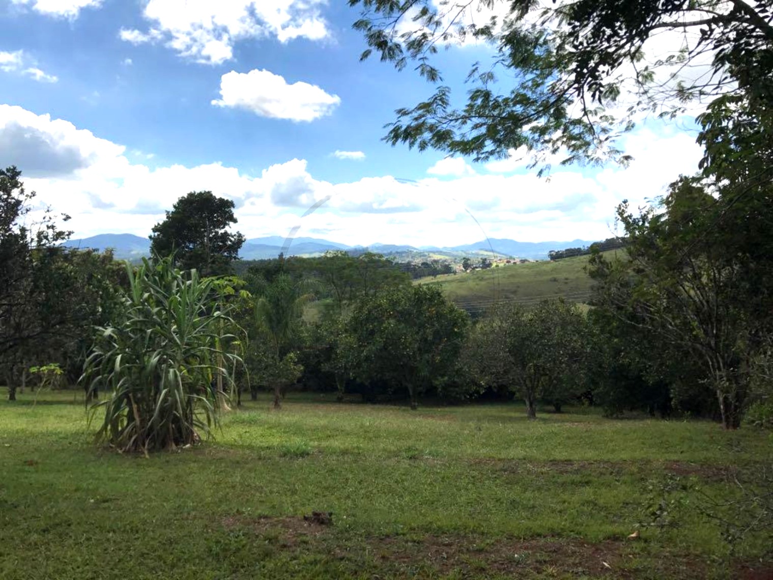 Terreno - Foto 1