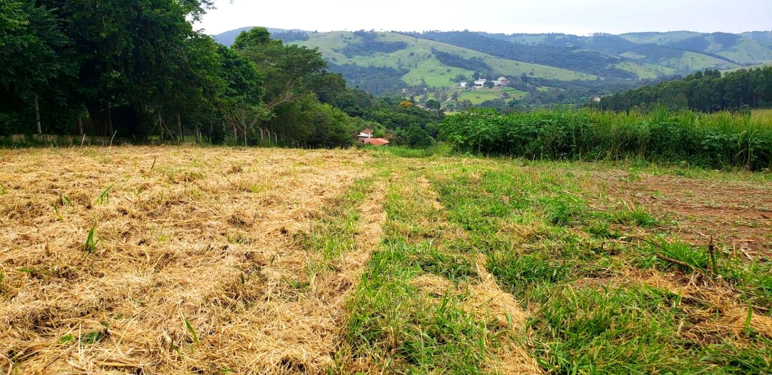 Terreno, 2000 m² - Foto 1