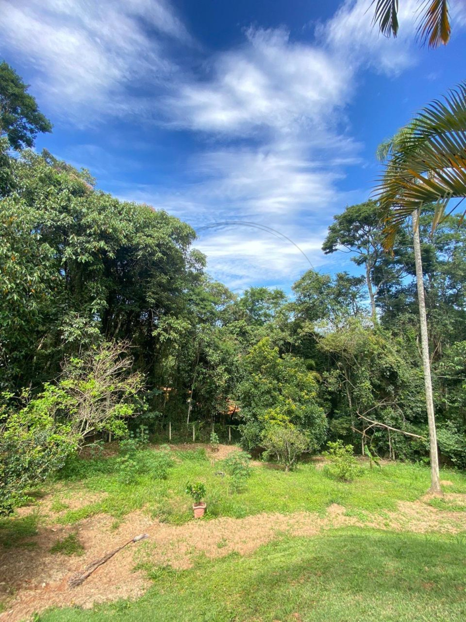 Chácara, 3 quartos, 1500 m² - Foto 13