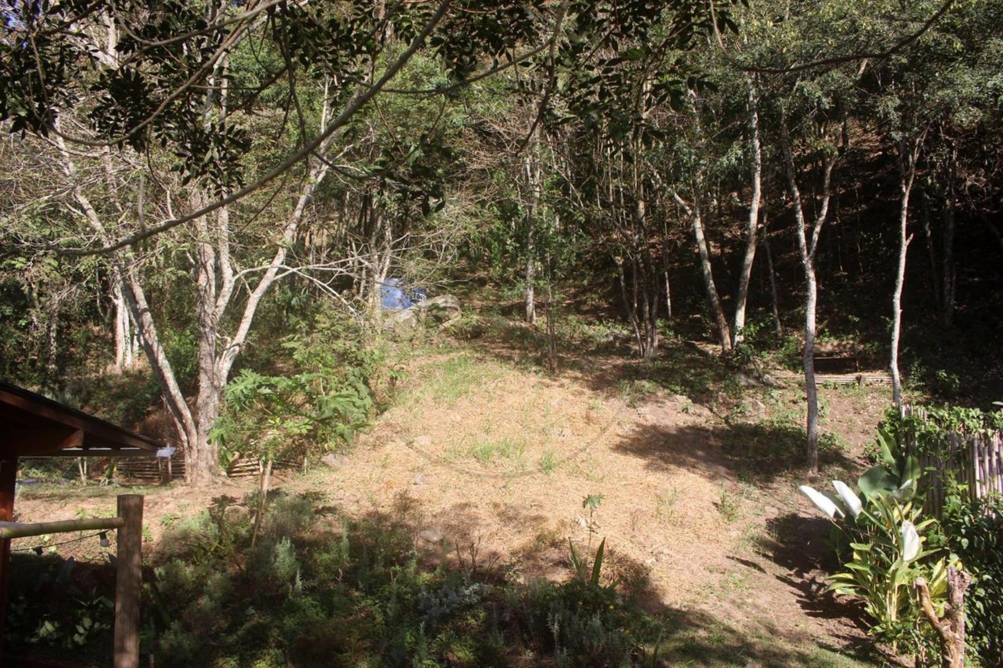 Chácara, 1 quarto - Foto 18