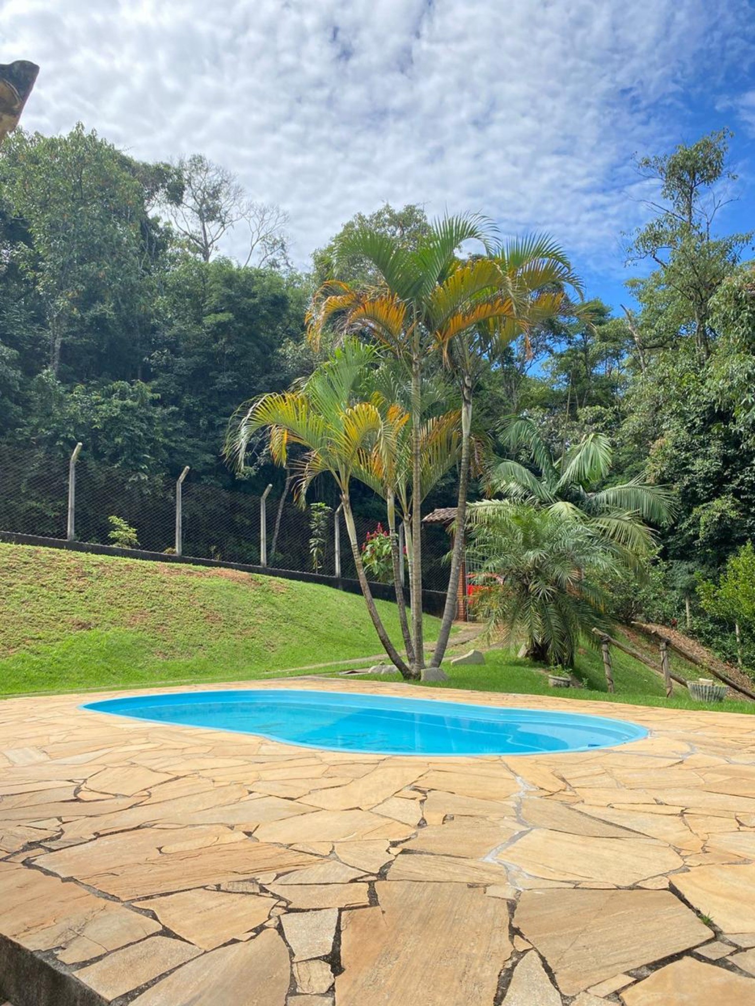 Chácara, 3 quartos, 1500 m² - Foto 8