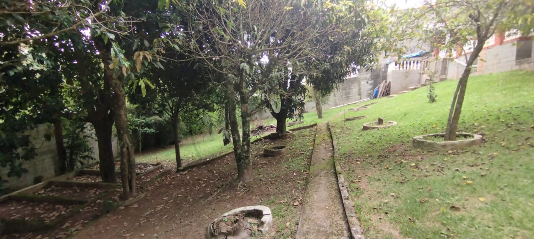 Chácara, 3 quartos - Foto 22